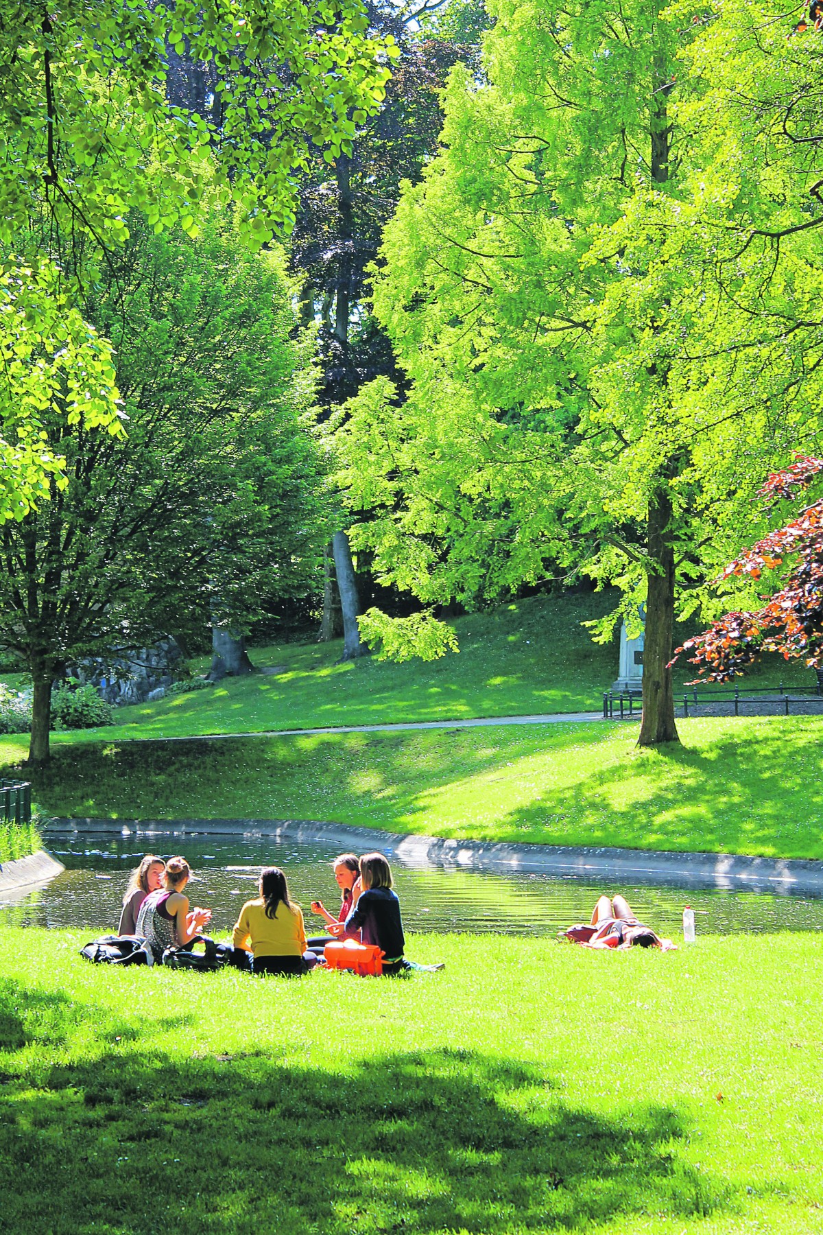 groen in het park - Vlaanderen