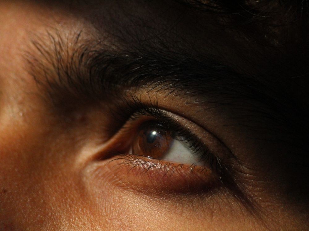 een oog met een donkere wenkbrauw