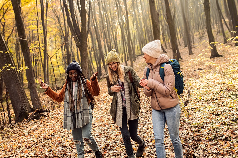 herfst in het bos