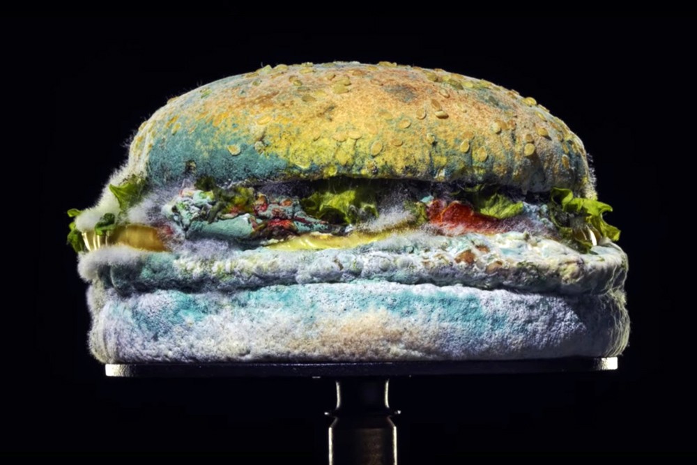 burger met schimmel