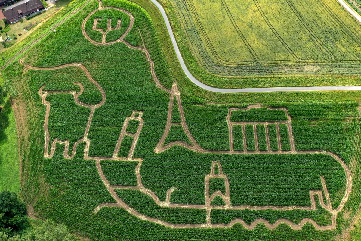 Een groen veld met tekeningen erin