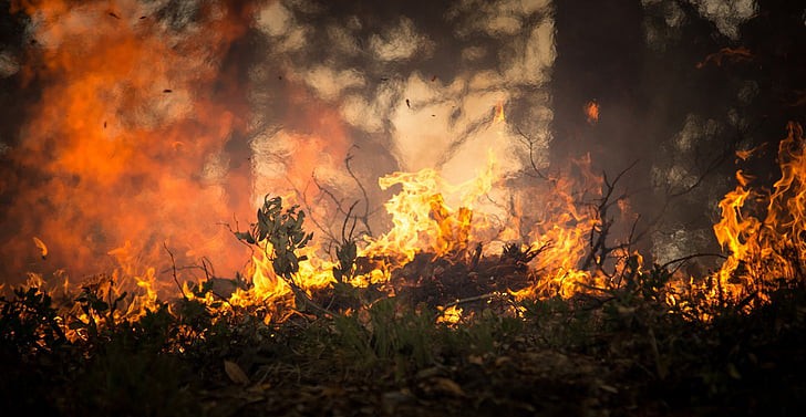 Brand in een bos