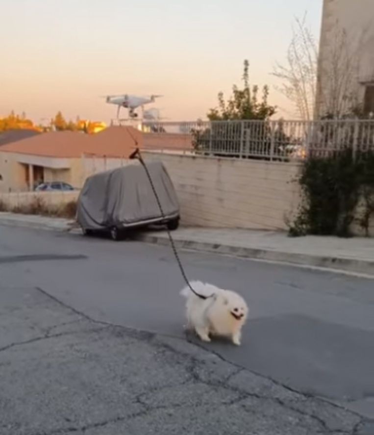 drone laat hond uit