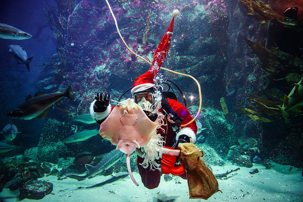 de kerstman onder water