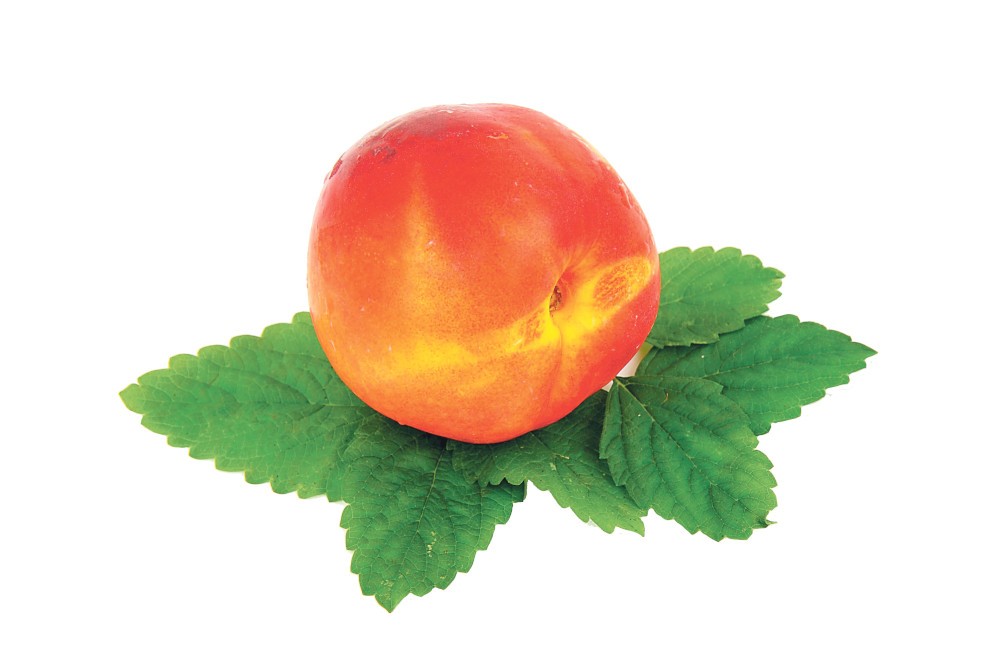 nectarine