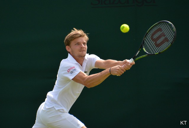 David Goffin in 2015
