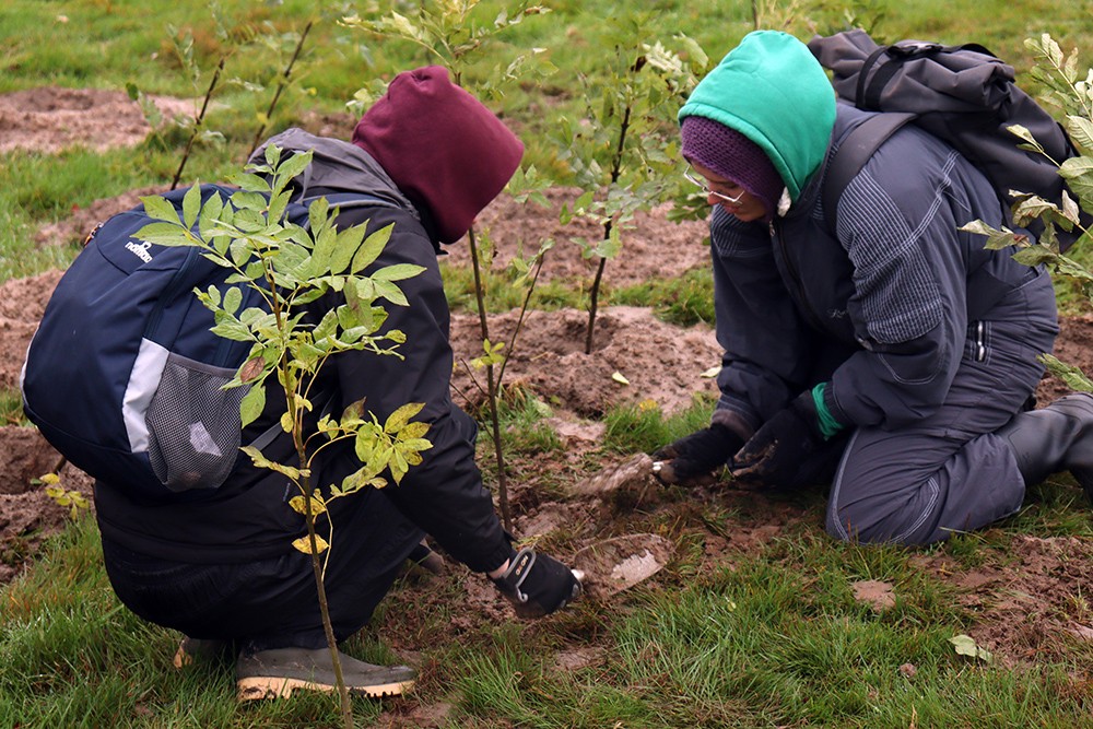 mensen planten bomen
