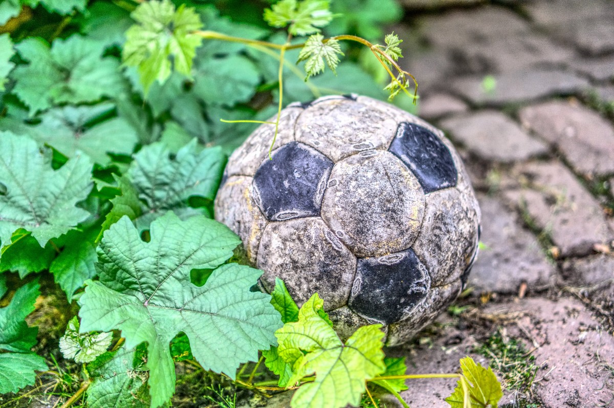 een bal in de tuin
