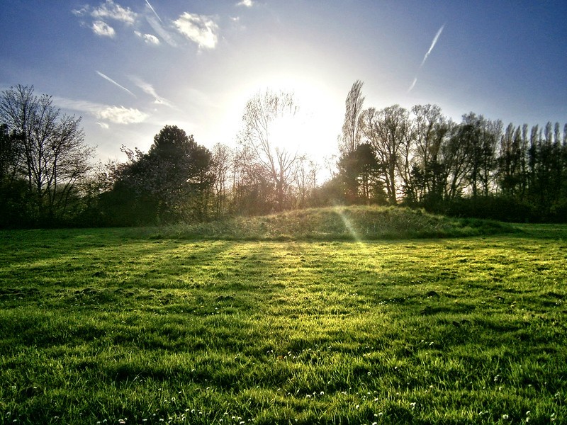 natuur in Oostduinkerke