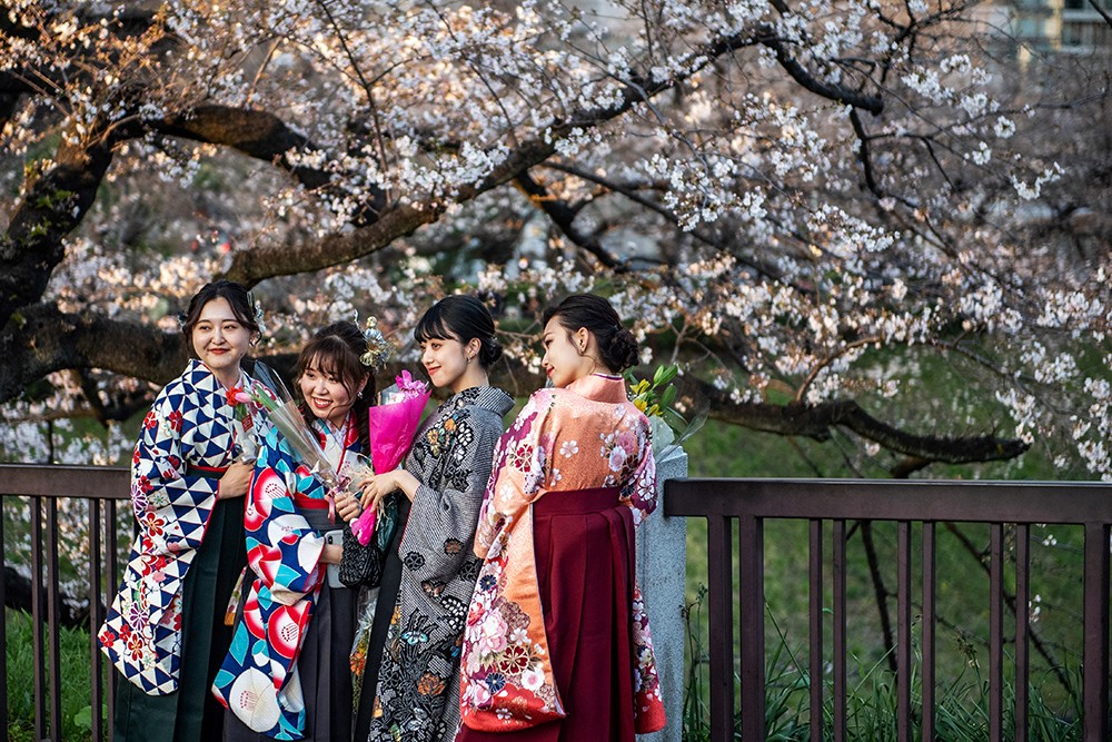 bloesems aan de bomen in Japan