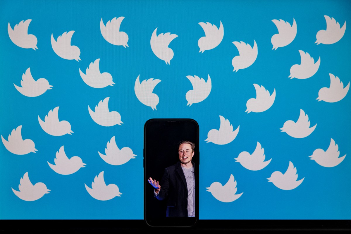 Elon Musk met vogeltjes om zich heen