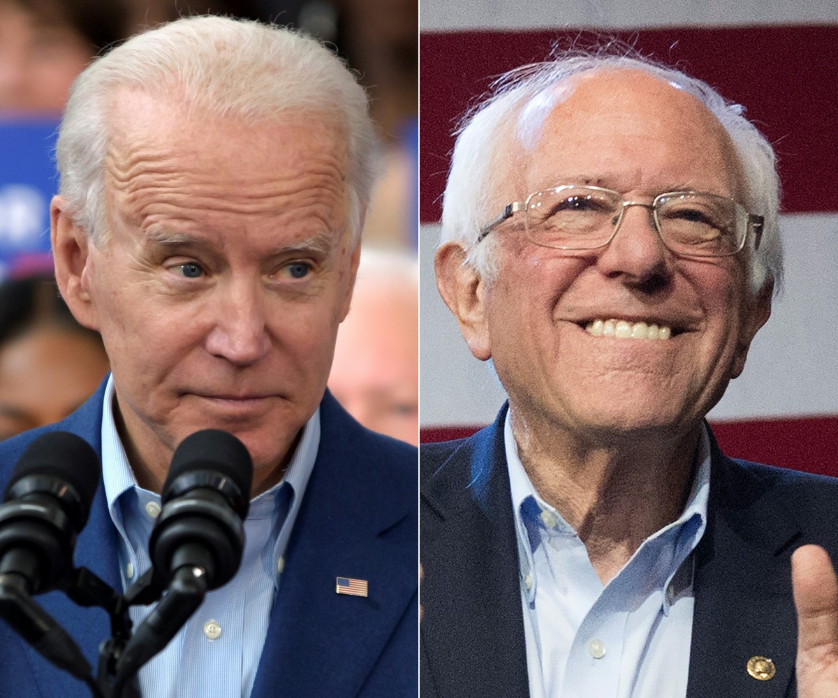 Biden en Sanders