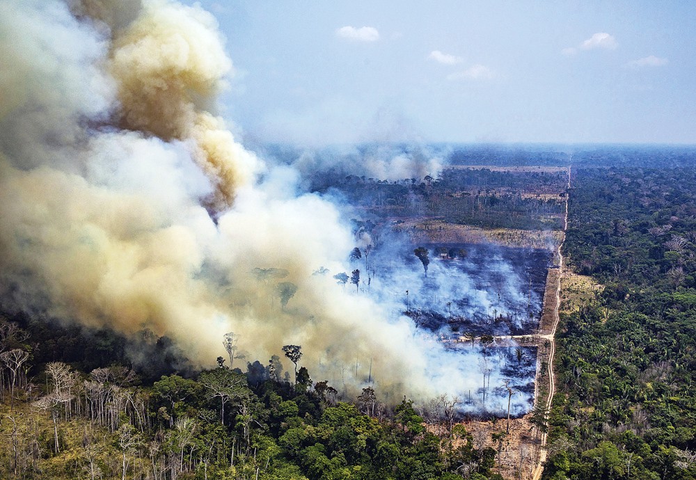 Bosbranden Brazilië