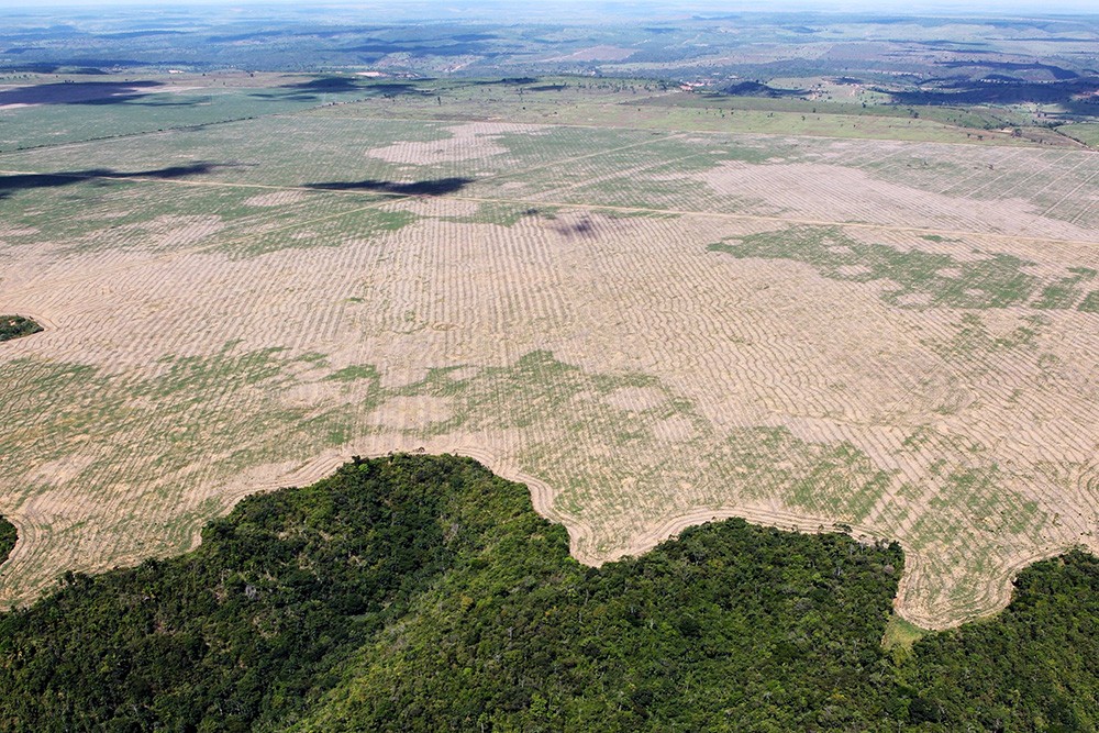 ontbossing Brazilië