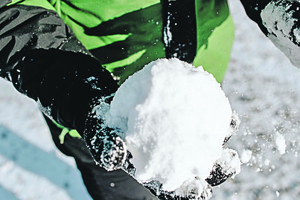sneeuwbal