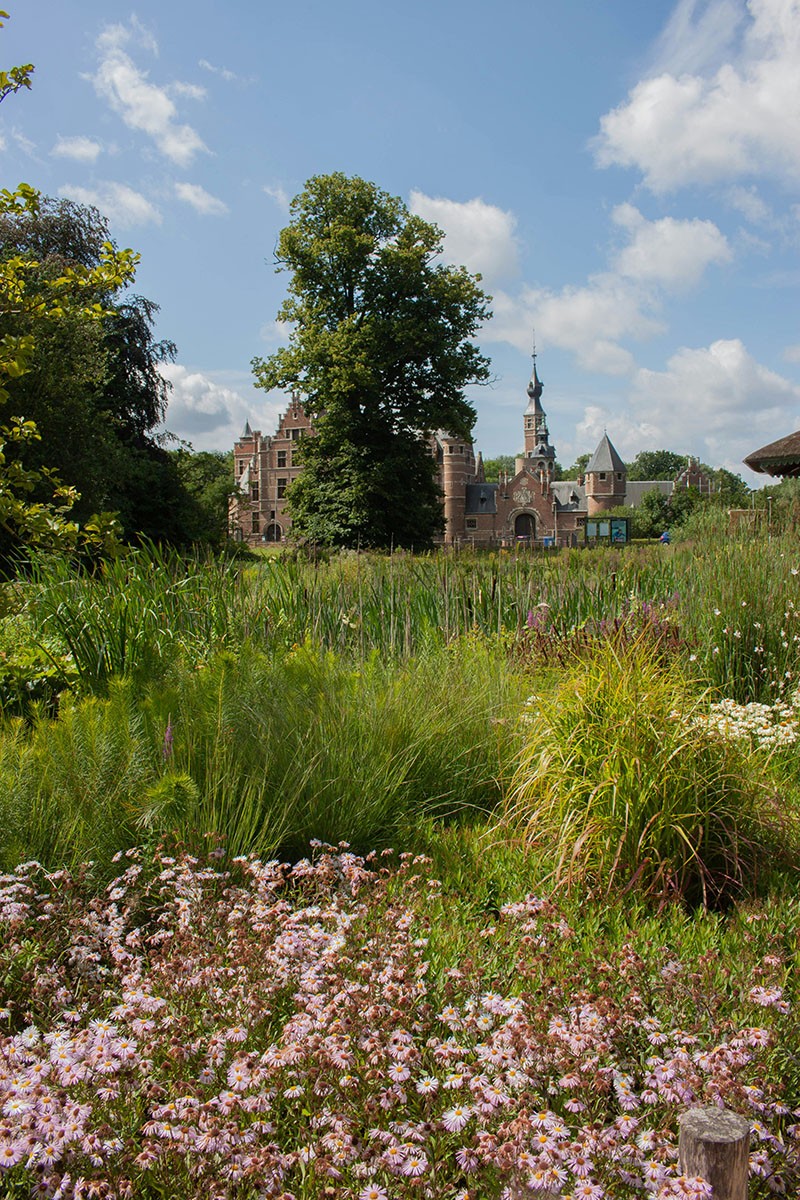 Het Rivierenhof in Antwerpen. Foto Unsplash / K. Isalieva