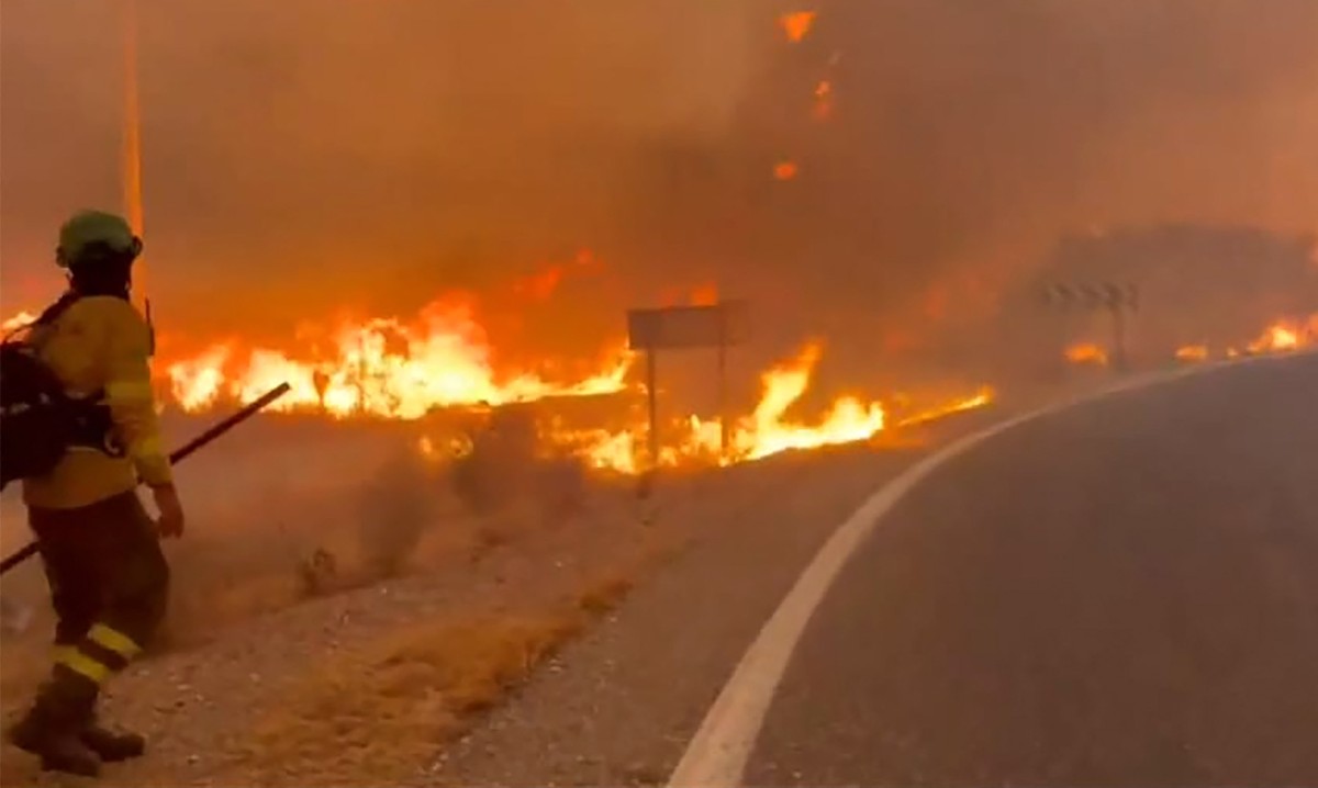 Brandweermannen vechten tegen het vuur bij een weg in Los Gallardos in Spanje.  Foto AFP